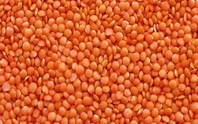 96-pure-round-shaped-commonly-cultivated-dried-medium-grain-masoor-dal--429