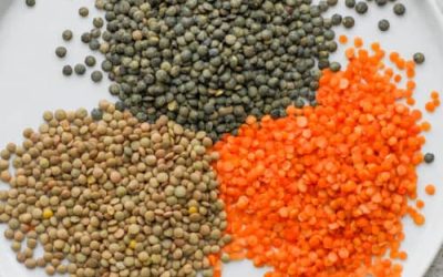 how-to-cook-lentils-7-500x500