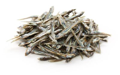 dried small anchovy sardine, japanese food